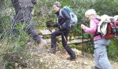 Trail Walking Gigondas - gigondas - Photo 3