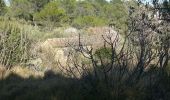 Excursión Senderismo Montfort-sur-Argens - montfort correns - Photo 3