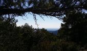 Tour Wandern Saint-Guilhem-le-Désert - lavagnes - Photo 1