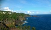 Tour Wandern Petite-Île - La Réunion - Balade des 2 points de vue de Grande Anse à Petite Île. - Photo 3