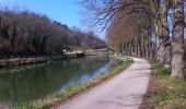 Tocht Rolschaatsen Dijon - roller Dijon canal - Photo 11