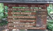 Tour Wandern Saint-Philippe - La Réunion - Boucle par le sentier botanique de la forêt de Mare-Longue - Photo 14