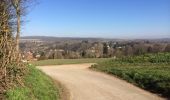 Trail Walking Oinville-sur-Montcient - Oinville sur Moncient - Photo 1