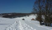 Trail Snowshoes Valserhône - Le retord - Photo 9