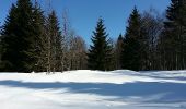 Randonnée Raquettes à neige Valserhône - Le retord - Photo 8