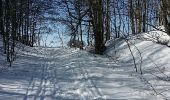 Trail Snowshoes Valserhône - Le retord - Photo 7