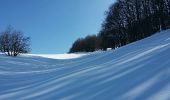 Trail Snowshoes Valserhône - Le retord - Photo 6