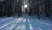Excursión Raquetas de nieve Valserhône - Le retord - Photo 5
