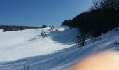 Randonnée Raquettes à neige Valserhône - Le retord - Photo 3