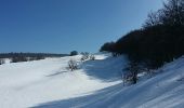 Tocht Sneeuwschoenen Valserhône - Le retord - Photo 2