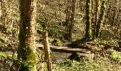 Trail Walking Soulce-Cernay - la grotte - Photo 6