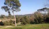 Trail Walking Prades-le-Lez - balade autour du château de Restinclieres - Photo 2