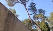 Tour Wandern Prades-le-Lez - balade autour du château de Restinclieres - Photo 1