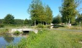 Excursión Senderismo Selles-sur-Cher - De selle sur Cher â gievres - Photo 16