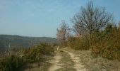 Trail Walking Saint-Laurent-sous-Coiron - Chante Épine Roche de Luchon - Photo 2