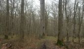 Trail Walking Bracieux - forêt de Boulogne - Photo 14