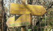 Trail Walking Sainte-Orse - Ste Orse Taillepetit 13km - Photo 2