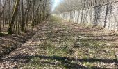 Trail Walking Bracieux - forêt de Boulogne 2  - Photo 12