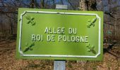 Excursión Senderismo Bracieux - forêt de Boulogne 2  - Photo 10