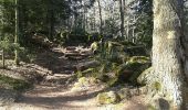 Trail Walking Ottrott - Mur Paien complet - Photo 19