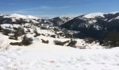 Tour Schneeschuhwandern Beuil -  balade raquette (beuil les launes) - Photo 5