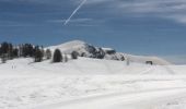Randonnée Raquettes à neige Beuil -  balade raquette (beuil les launes) - Photo 4