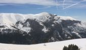 Randonnée Raquettes à neige Beuil -  balade raquette (beuil les launes) - Photo 3