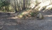 Trail Walking Gueberschwihr - les 3 chateaux - Photo 3