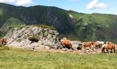 Tour Wandern Chambon-sur-Lac - Boucle Chaudefour Sancy - Photo 5