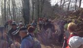 Trail Walking Lavoine - lavoine2014 - Photo 1