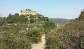 Tour Wandern Thuir - Thuir à Castelnou - Photo 8