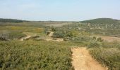 Trail Walking Thuir - Thuir à Castelnou - Photo 6