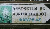 Tocht Stappen Montbéliardot - arboretum - Photo 4