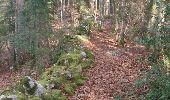 Trail Walking Montbéliardot - arboretum - Photo 3