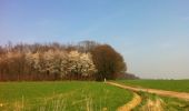 Tocht Stappen Oud-Heverlee - Meerdaalbos 15km - Photo 2