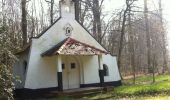 Tocht Stappen Oud-Heverlee - Meerdaalbos 15km - Photo 1