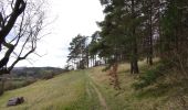 Trail Walking Viroinval - Balade à Vierves-sur-Viroin - Photo 5