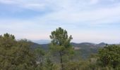 Tocht Stappen Fréjus - lac Esterel  - Photo 1