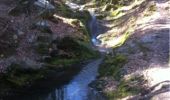 Trail Walking Aywaille - BE - Ninglinspo - Chefna - Fonds de Quareux - Photo 20