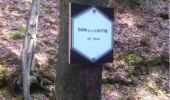 Trail Walking Aywaille - BE - Ninglinspo - Chefna - Fonds de Quareux - Photo 14