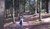 Trail Walking Aywaille - BE - Ninglinspo - Chefna - Fonds de Quareux - Photo 7