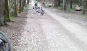 Tour Mountainbike Claveisolles - favardy par echarmeaux - Photo 1