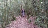 Trail Walking Octon - escandorgue - Photo 14