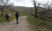 Trail Walking Octon - escandorgue - Photo 7