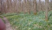 Tour Wandern Honnelles - Angreau: Marche Adeps du 30/03/2014 - Photo 3