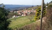 Tour Wandern Schönenberg - Champ du Feu - Photo 5