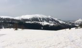 Trail Snowshoes Roubion - col de la couillole - Photo 3