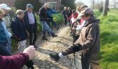 Tocht Noords wandelen Graven - cocrou - Pietrebais - Photo 14