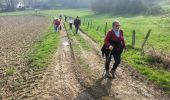 Tocht Noords wandelen Graven - cocrou - Pietrebais - Photo 4