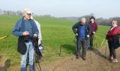 Tocht Noords wandelen Graven - cocrou - Pietrebais - Photo 3